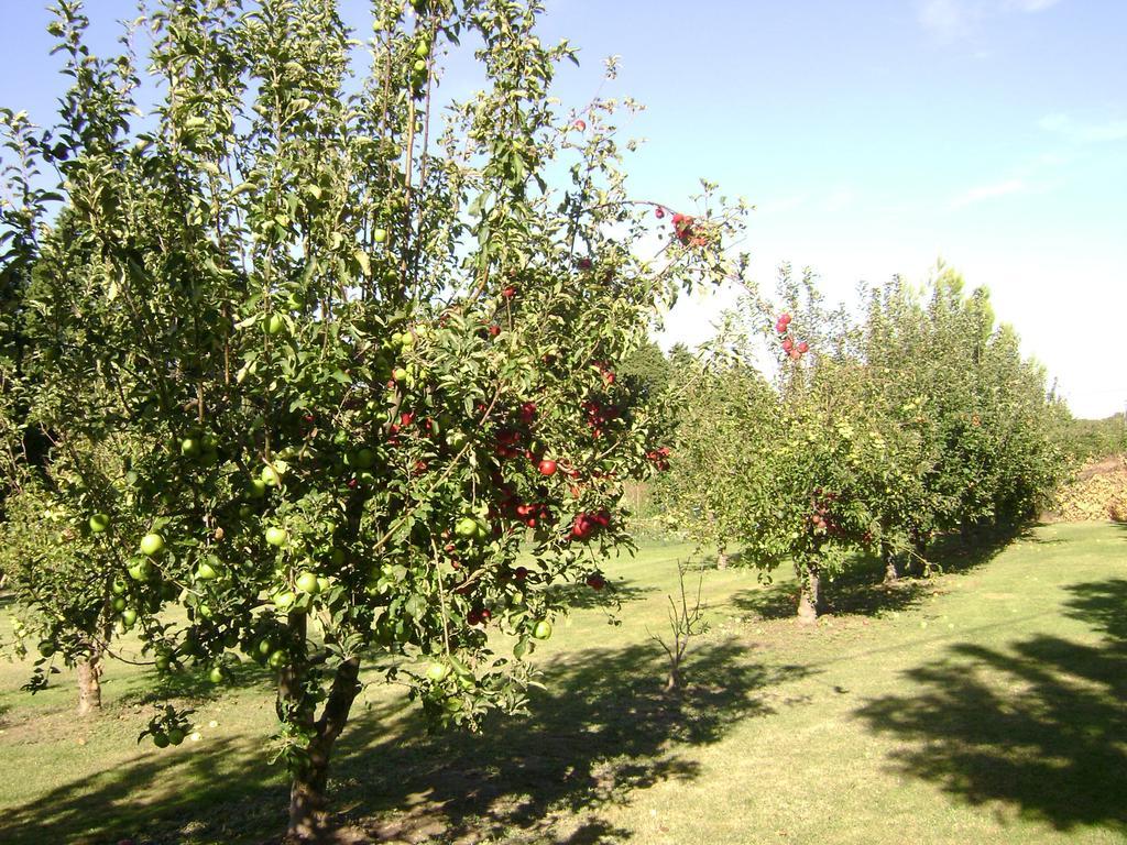 La Gourmandine *
