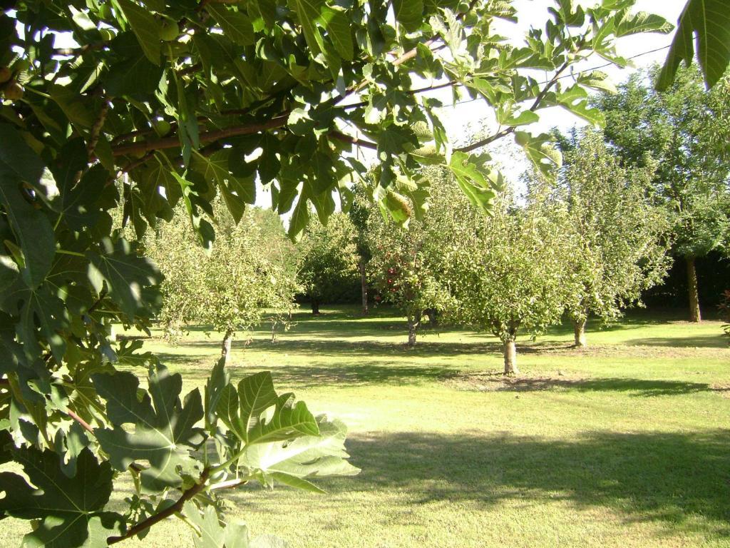 La Gourmandine Saint-Andiol